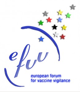 EFVV_logo
